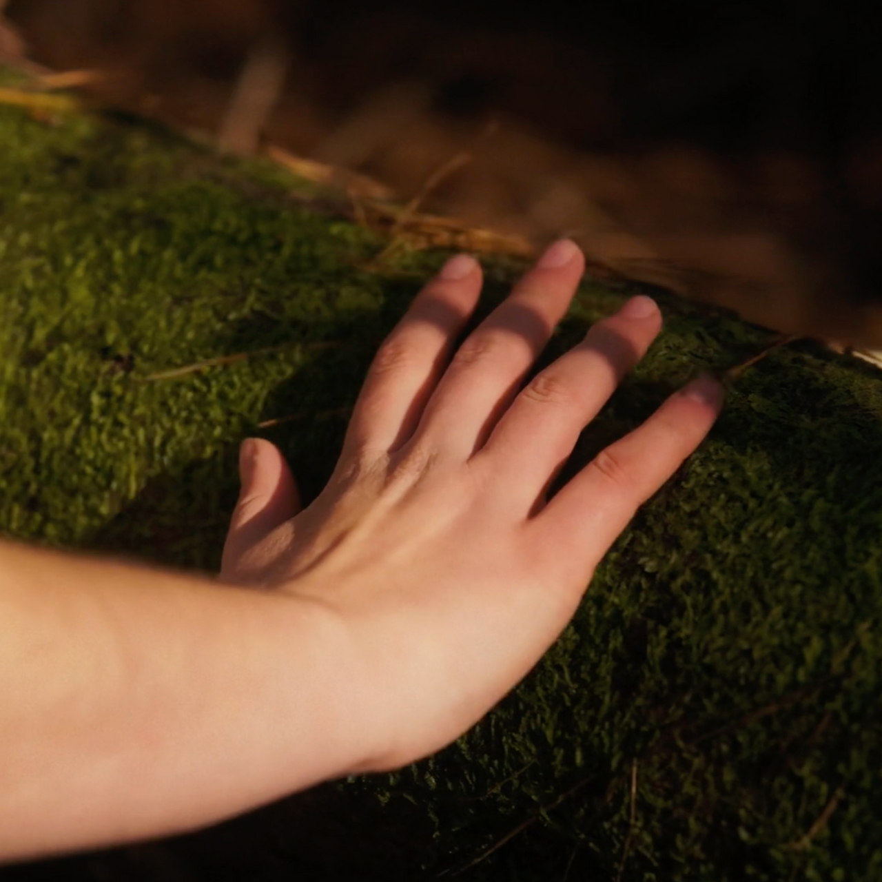 Earth: Original Cacao