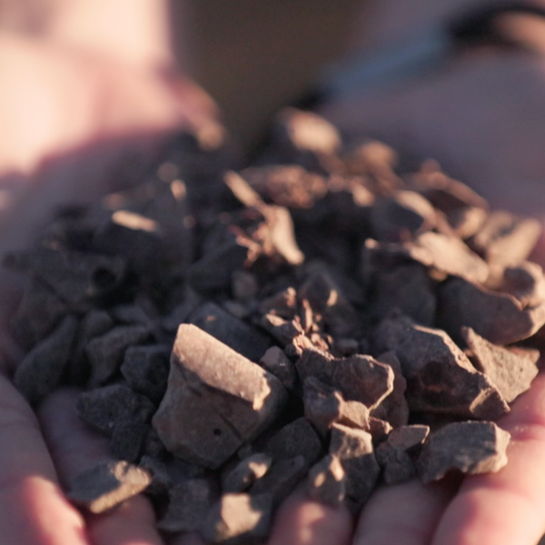 Cacao Crisis: Climate Change and the Looming Collapse of Global Cacao Production