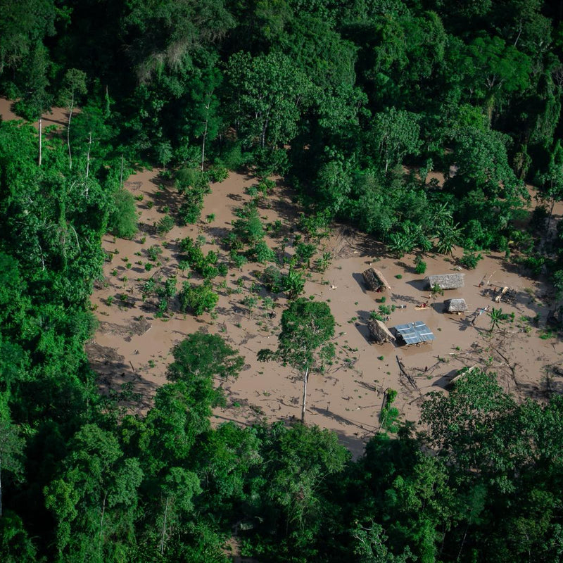 Flooding in the Amazon Basin (update)