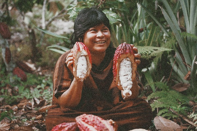 Alt Image